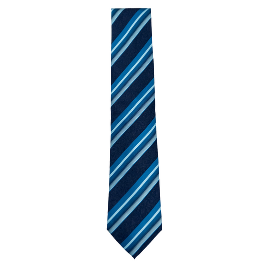 Navy Striped Paisley Tie